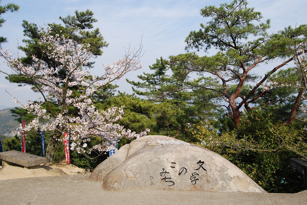 ２００７年４月７日　尾道　桜と猫と犬と猿_f0137351_23185534.jpg