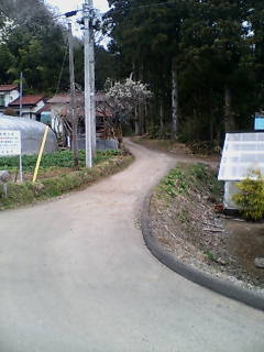 a0096557_22182286.jpg