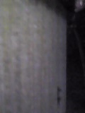 d0007957_0501216.jpg