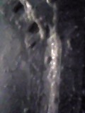d0007957_059863.jpg