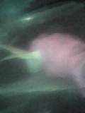 d0007957_1127100.jpg
