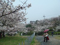 c0108460_1654787.jpg