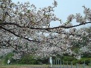 c0108460_1663519.jpg