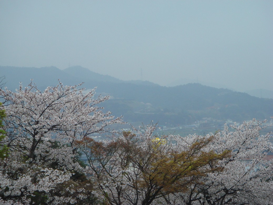 c0108460_1683459.jpg