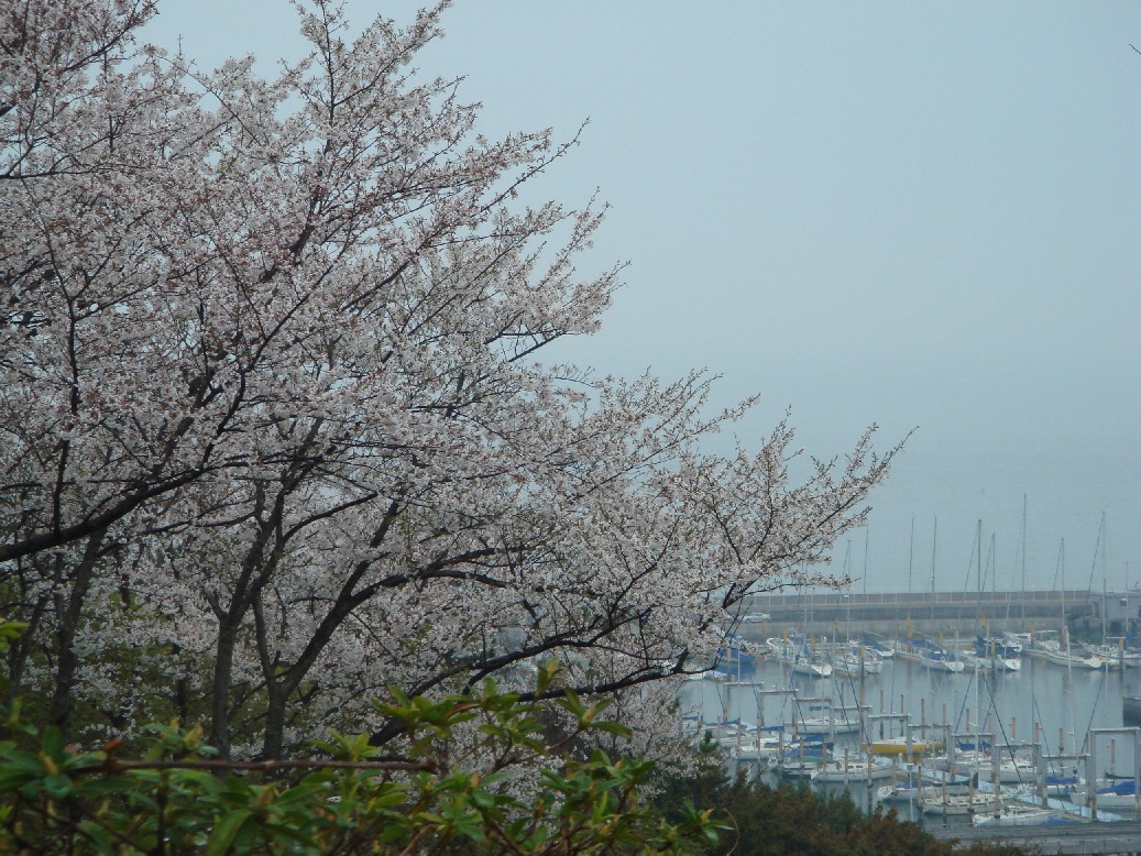 c0108460_168512.jpg
