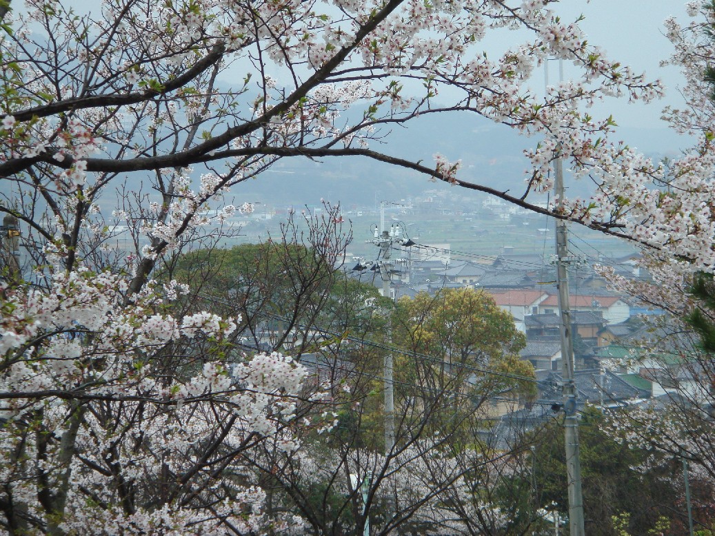 c0108460_16902.jpg