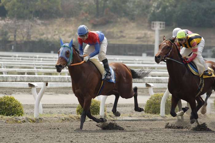 2007年3月25日（日） 高知競馬 4R_a0077663_17551127.jpg