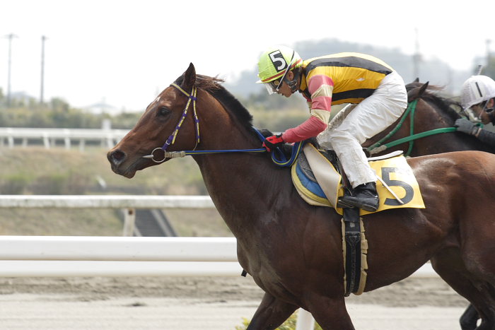 2007年3月25日（日） 高知競馬 4R_a0077663_17555955.jpg