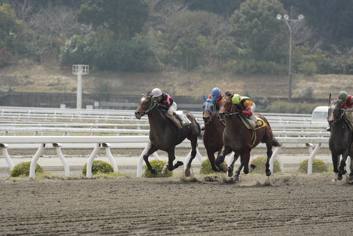 2007年3月25日（日） 高知競馬 4R_a0077663_1814113.jpg