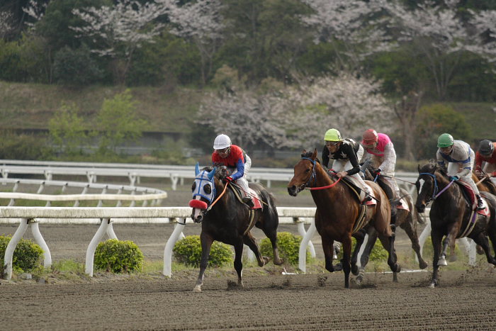 平成19年度 高知競馬開幕！！_a0077663_19124488.jpg