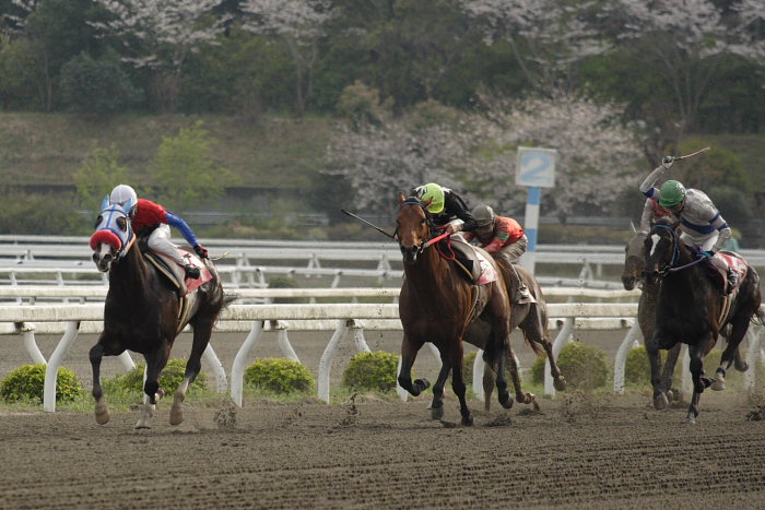 平成19年度 高知競馬開幕！！_a0077663_19125924.jpg