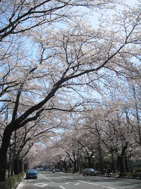 f0016868_16132286.gif