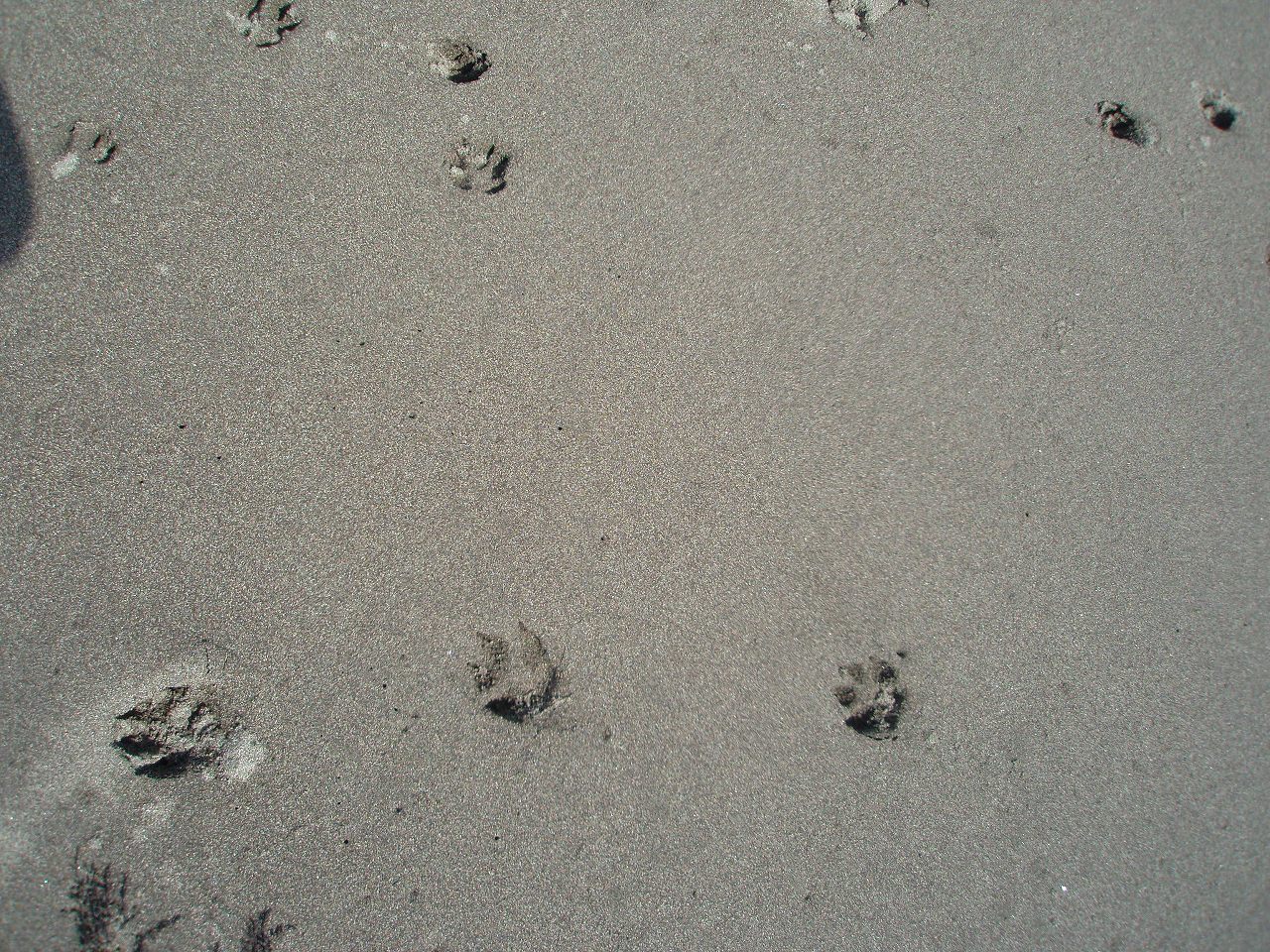 a0103569_2246352.jpg