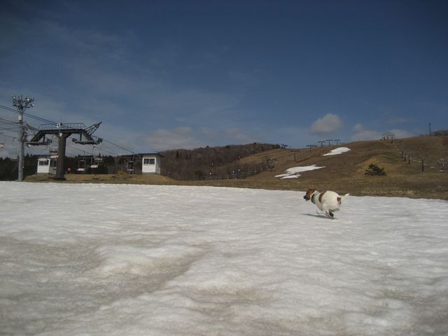 f0100871_19491342.jpg