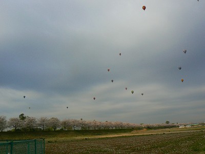 渡良瀬　バルーンレース_d0010073_1035417.jpg