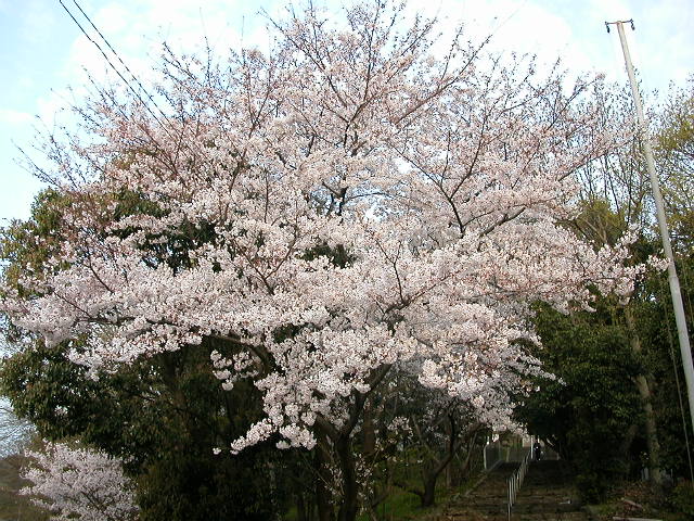 a0064474_14463532.jpg