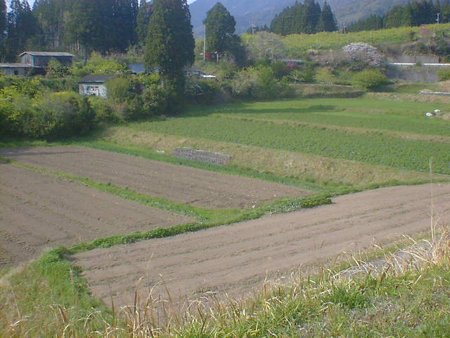 d0040076_20244153.jpg