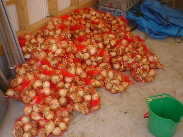 d0040076_20405030.jpg