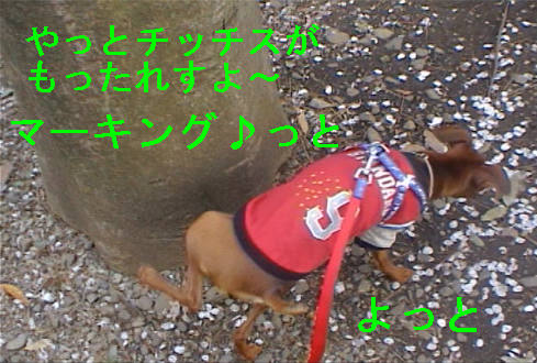 f0123589_15595549.jpg