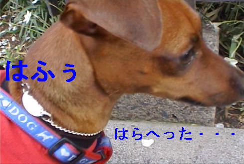 f0123589_168555.jpg