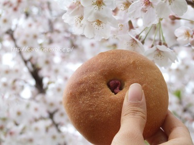 今年も、桜の下で桜あんぱん_d0025294_11115589.jpg