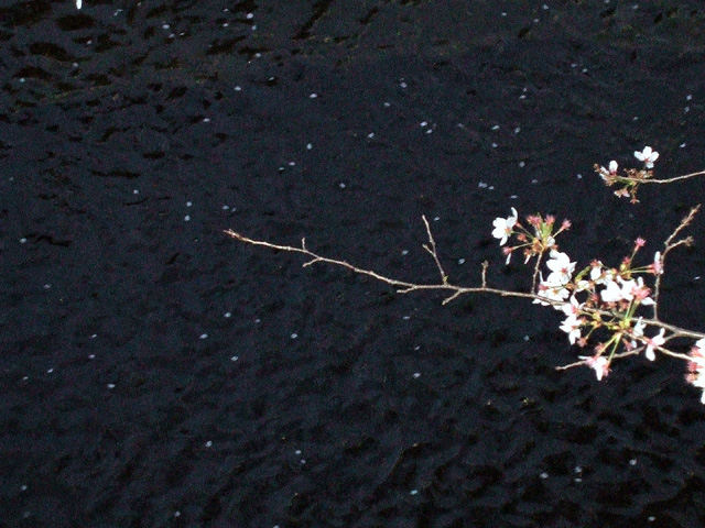 e0034994_0125742.jpg