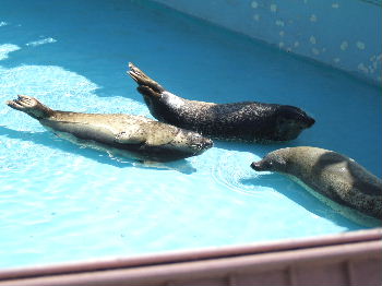 東山動植物園（後編）_e0035994_14425310.jpg