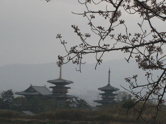 a0101802_16563727.jpg
