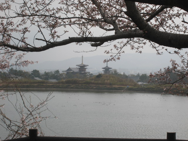 a0101802_1715219.jpg