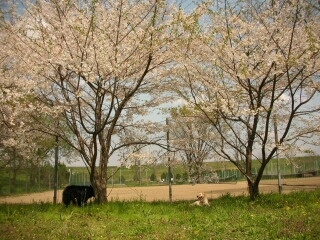 f0109202_2135156.jpg