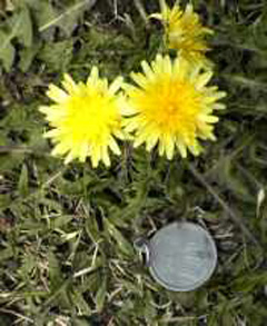 f0080105_0463331.jpg