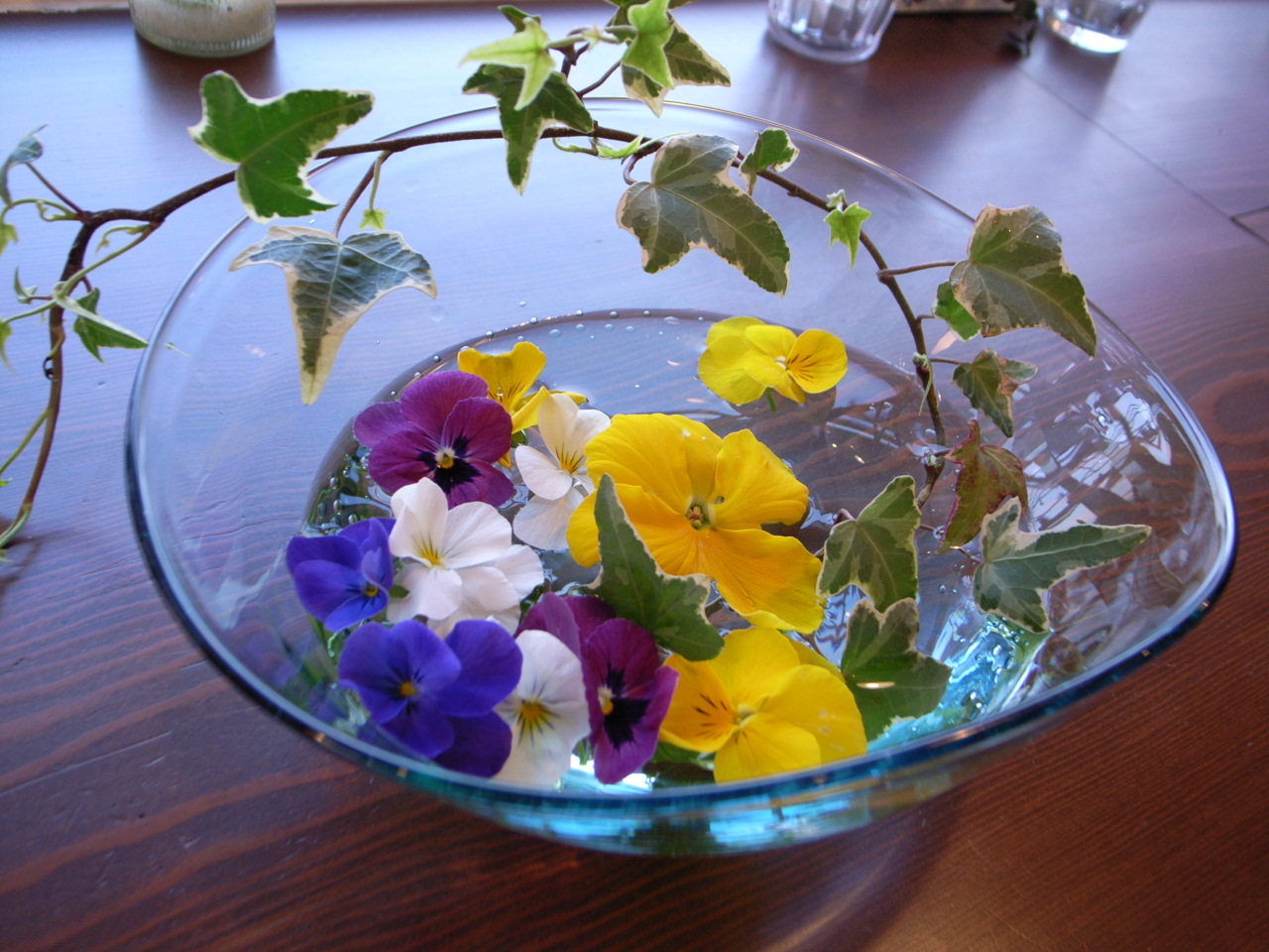 花見日和_f0126508_18493882.jpg