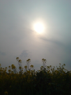 f0128409_16302023.jpg