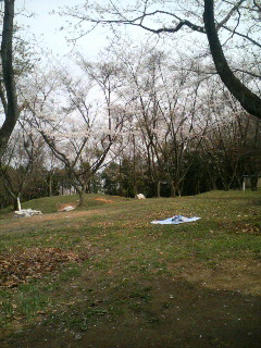c0075918_18252560.jpg