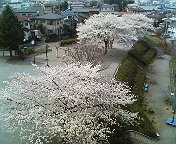 e0059938_20294112.jpg