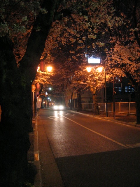f0133341_1121635.jpg
