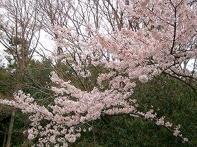 動物園_c0112747_1936021.jpg