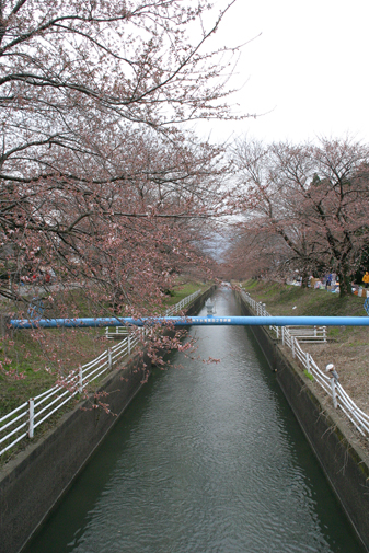 f0048547_1754674.jpg
