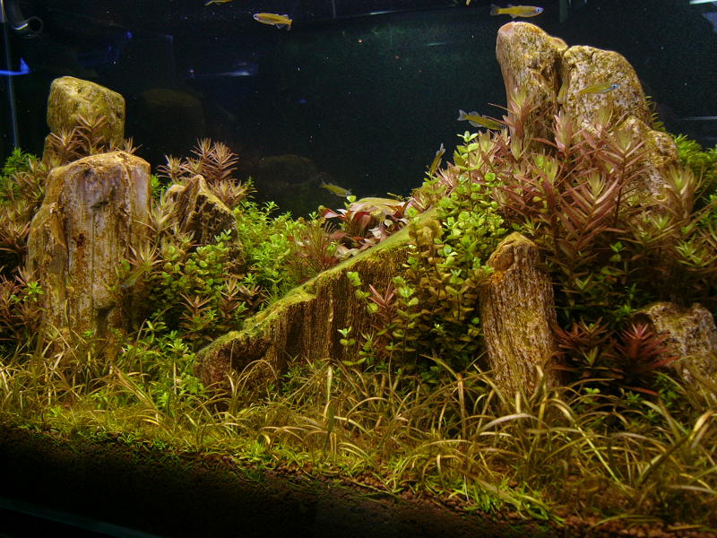 f0096947_23205659.jpg