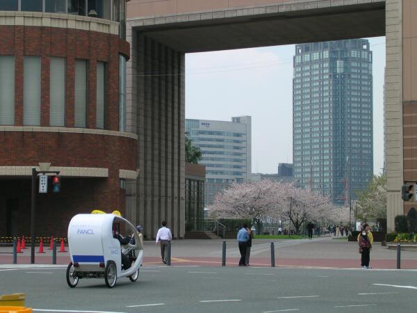 e0043548_1734947.jpg