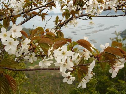 岡山いこいの村_f0108049_18262070.jpg