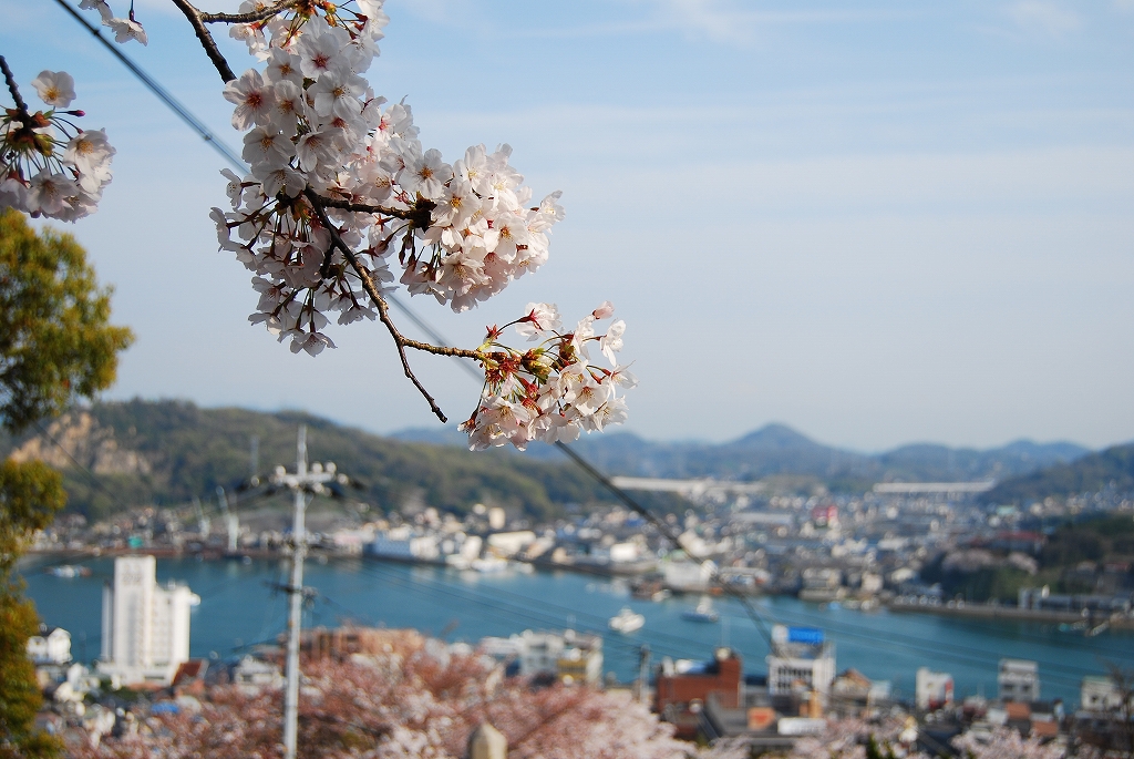 ２００７年４月8日(日）　尾道千光寺公園界隈(昨日の残り分）_f0137351_1012193.jpg