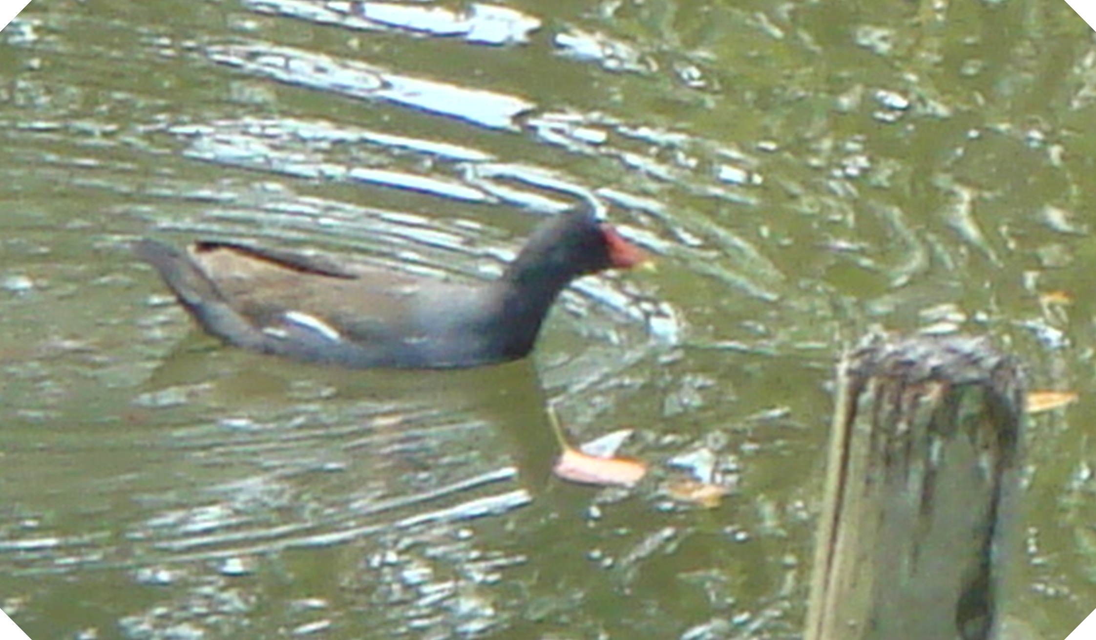 c0108460_16452112.jpg