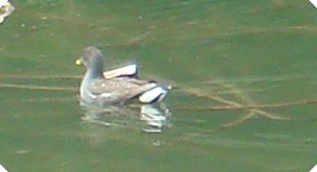 c0108460_16461133.jpg