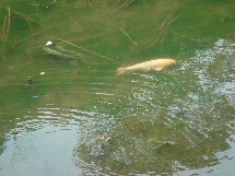 c0108460_1646553.jpg
