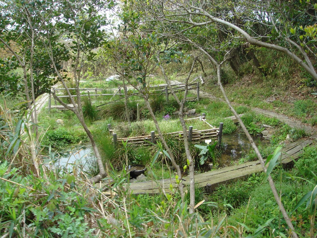 c0108460_1731567.jpg