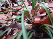 c0108460_173232100.jpg