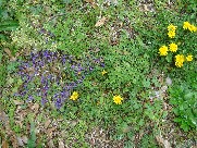 c0108460_17334939.jpg