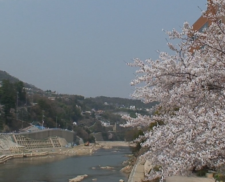 仁川・逆瀬川・武庫川・(庭先小旅行-宝塚市)　\'07年４月８日_d0083265_23321779.jpg