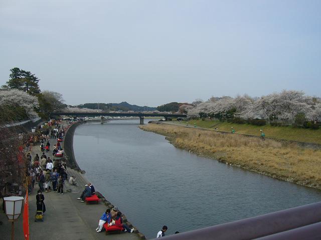 a0093566_1535039.jpg